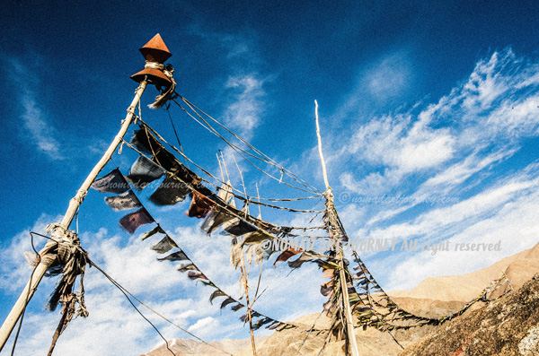 NOMAD_ART_JOURNEY
