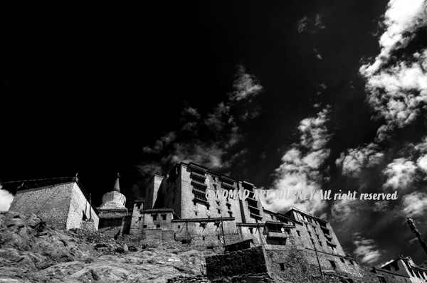 NOMAD_ART_JOURNEY