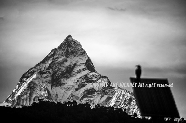 NOMAD_ART_JOURNEY
