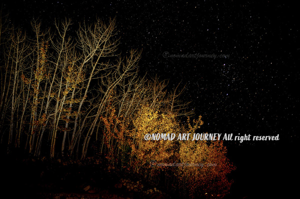 NOMAD_ART_JOURNEY